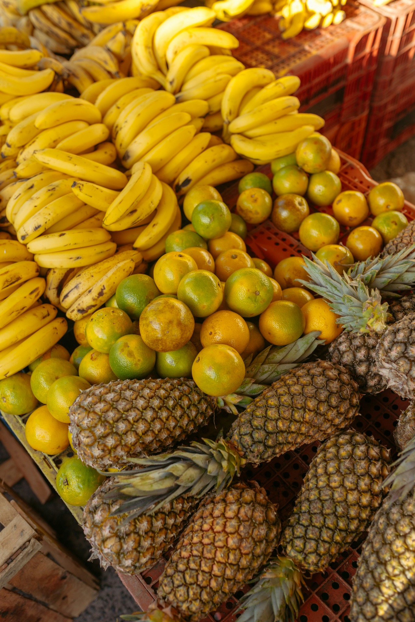 Fresh produce displayed at a market stall